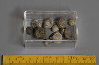 F 12773
<br/>
<br/>
<em></em>